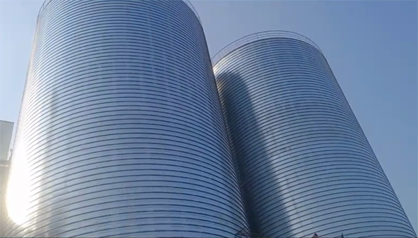 台安2座混凝土高架卷板仓